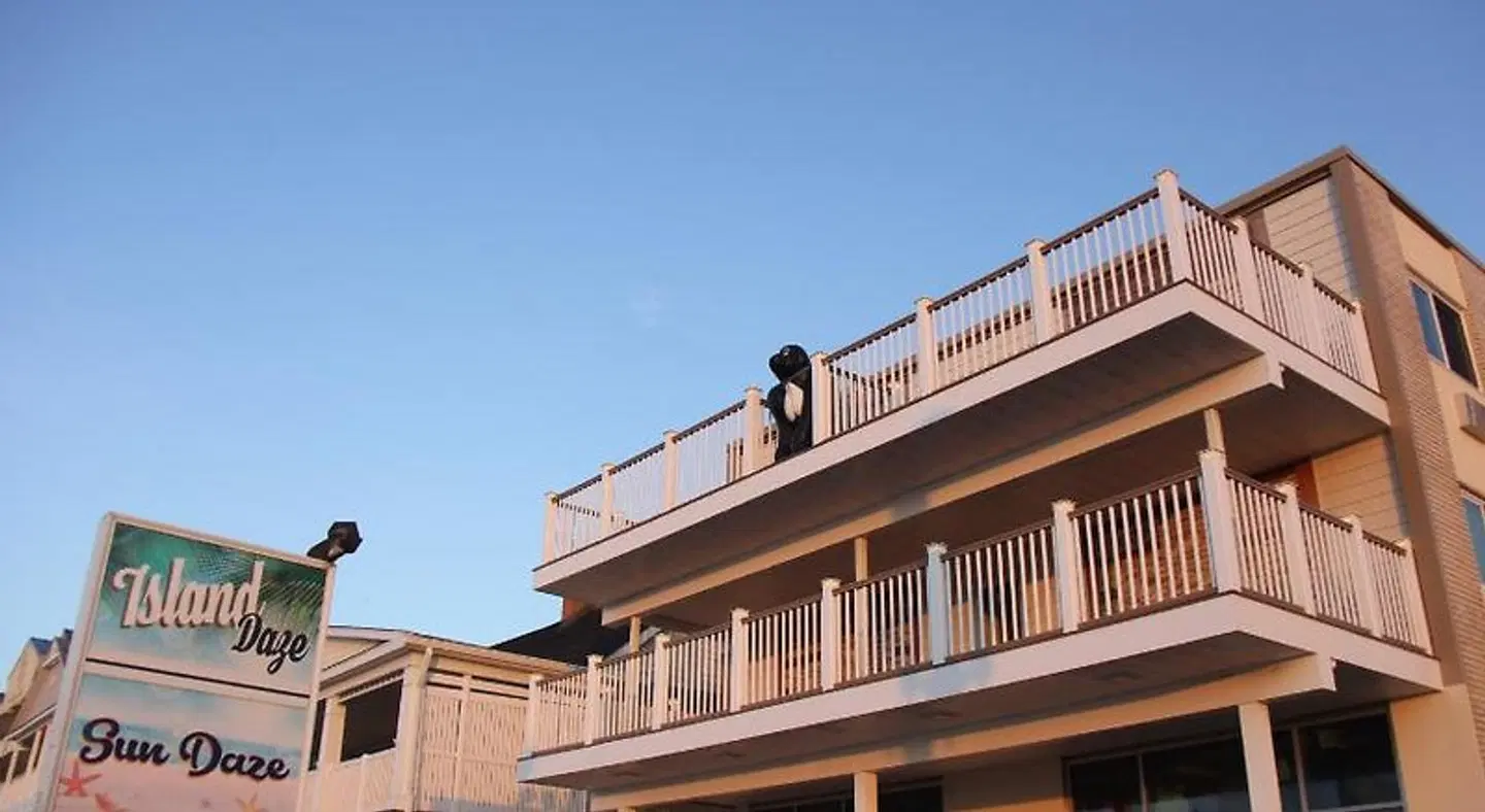 Safari Motel Boardwalk EXTERIOR