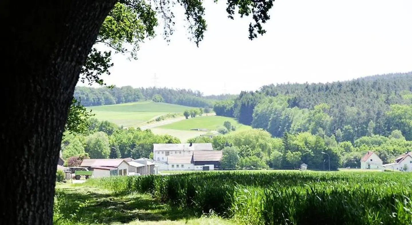 Am Forsthof LANDSCAPE