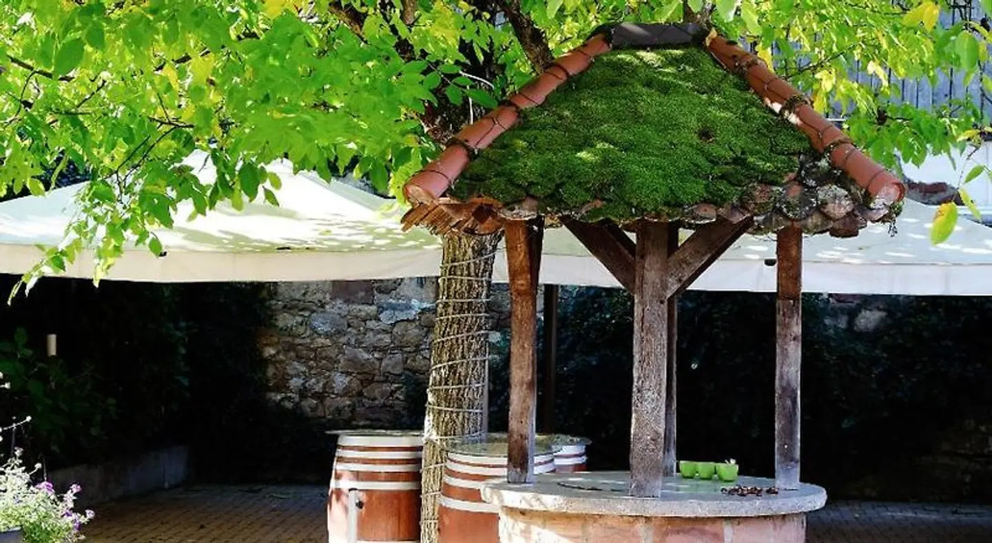 Zum Ochsen Terrasse