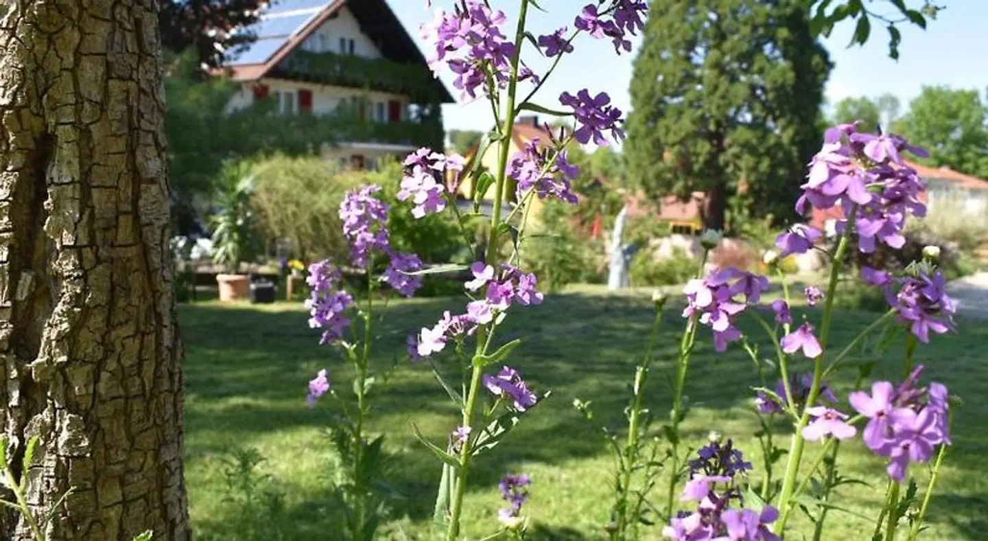 Kamps Garten