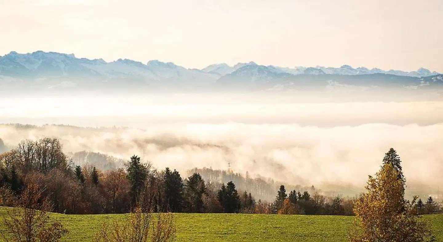 Hasenstrick LANDSCAPE