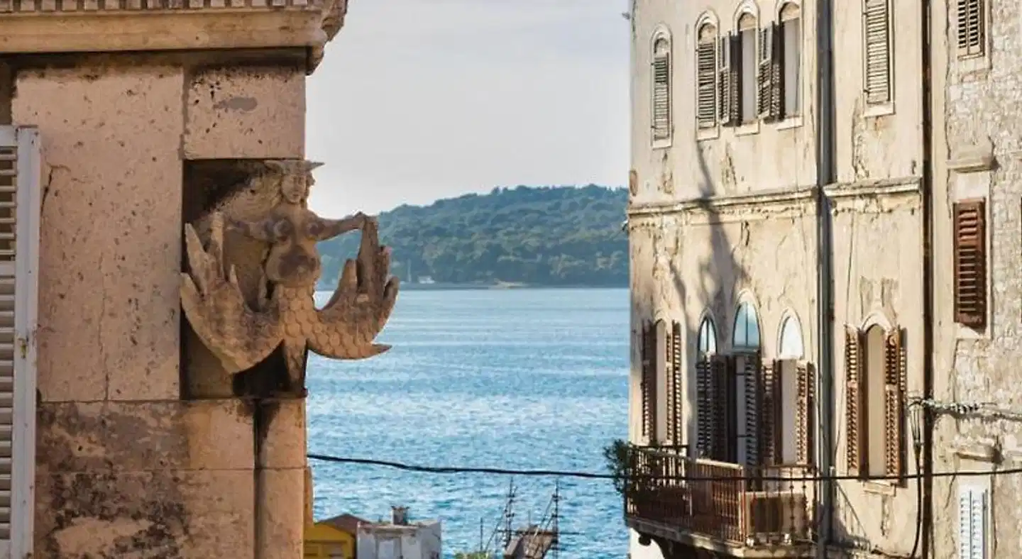 Apartment Forum Tiere