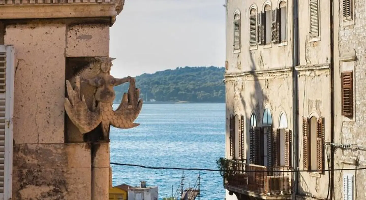 Apartment Forum Tiere