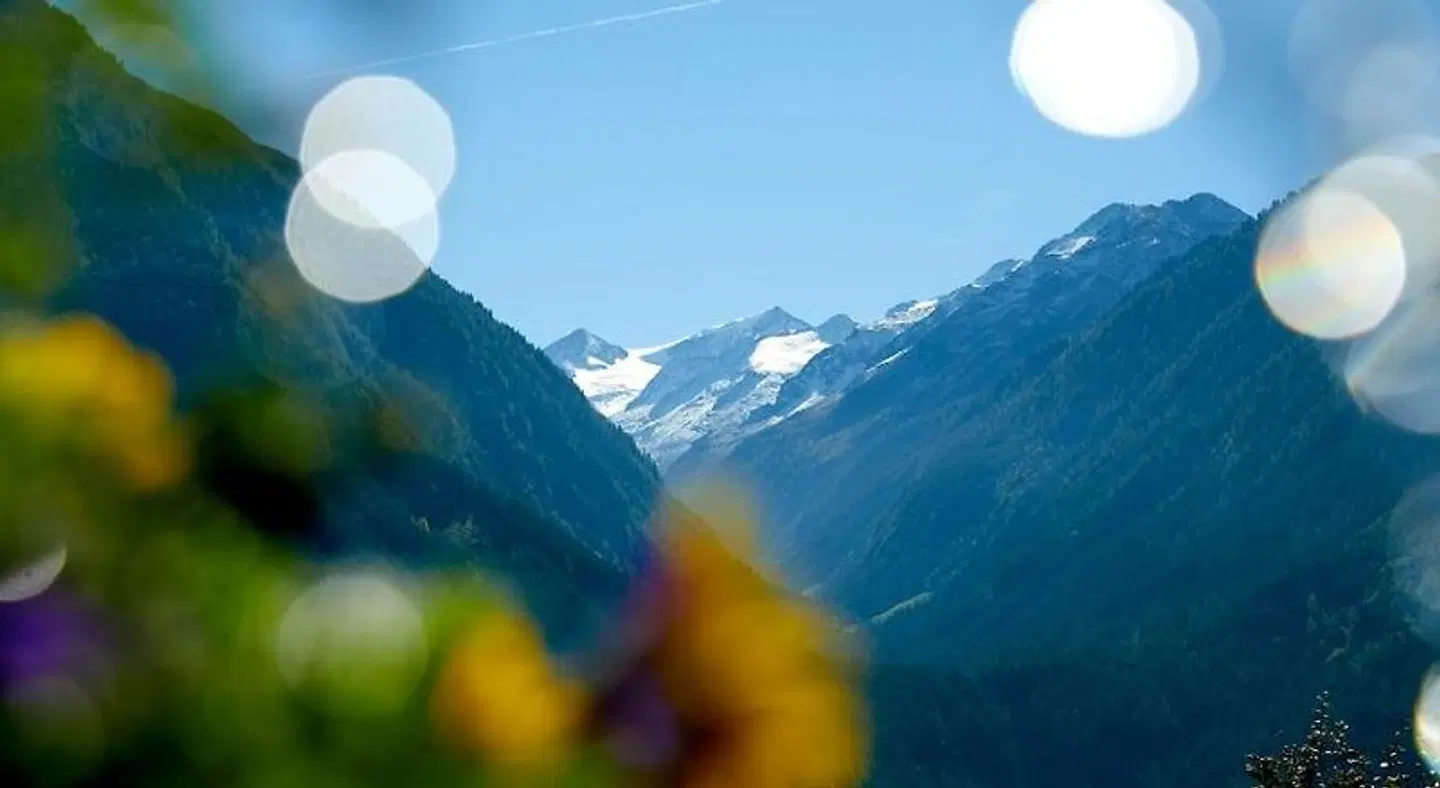 Abelhof LANDSCAPE