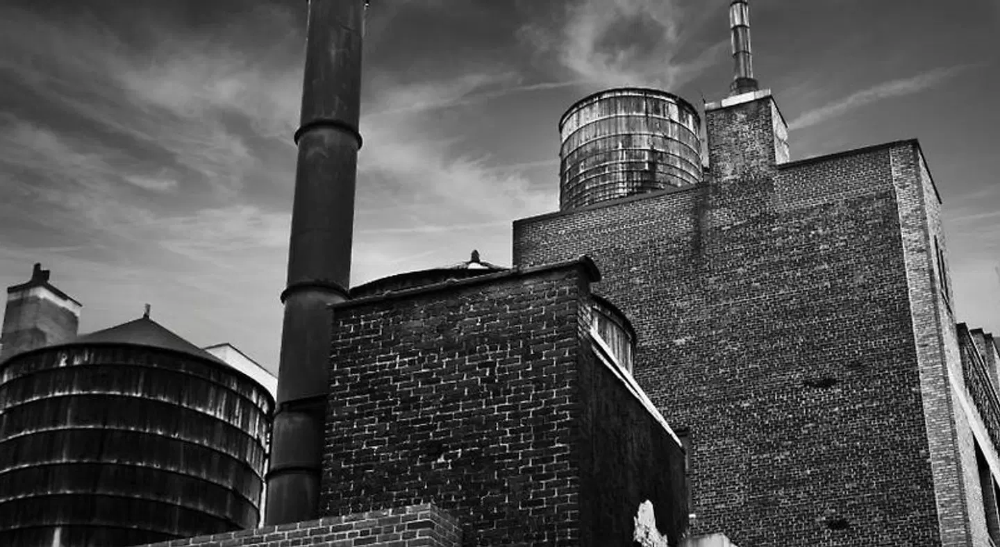 Refinery Hotel - New York Tiere