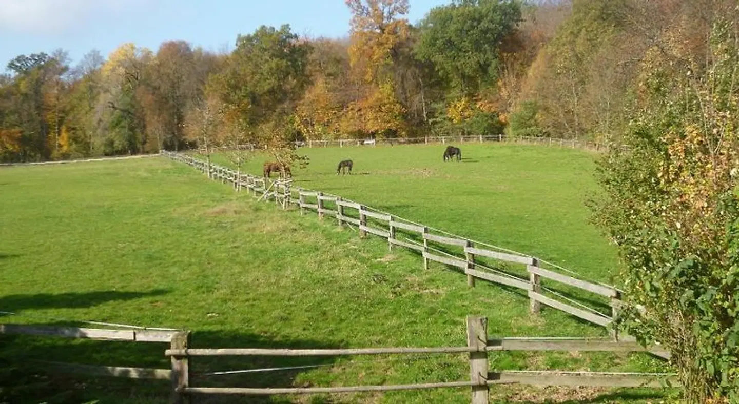 Landhaus Lahmann LANDSCAPE