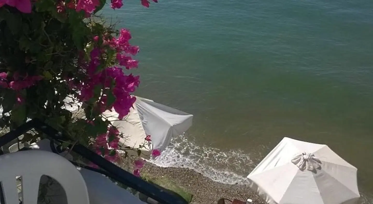 Nese Pension Strand