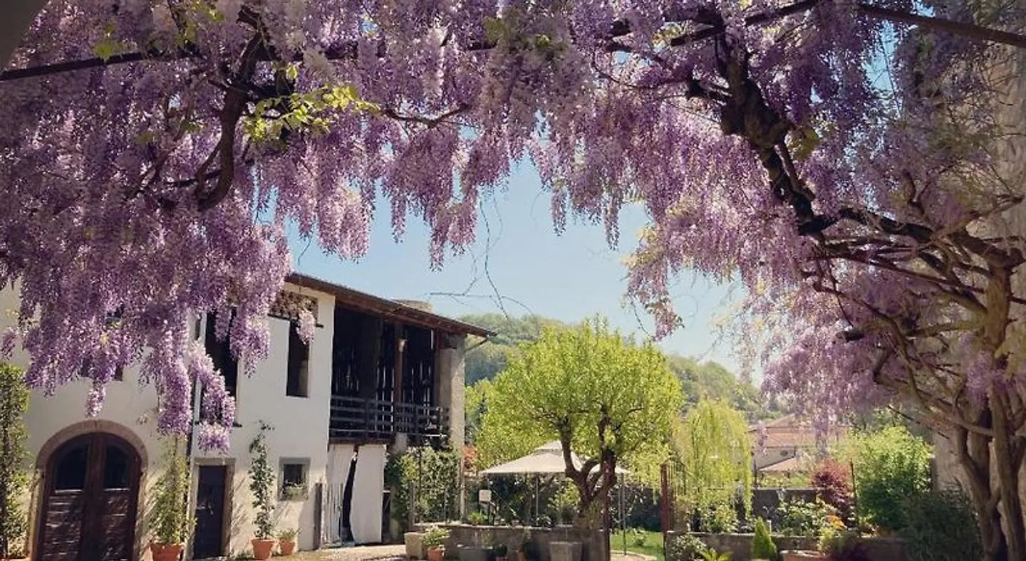B&B Corte Seguini EXTERIOR