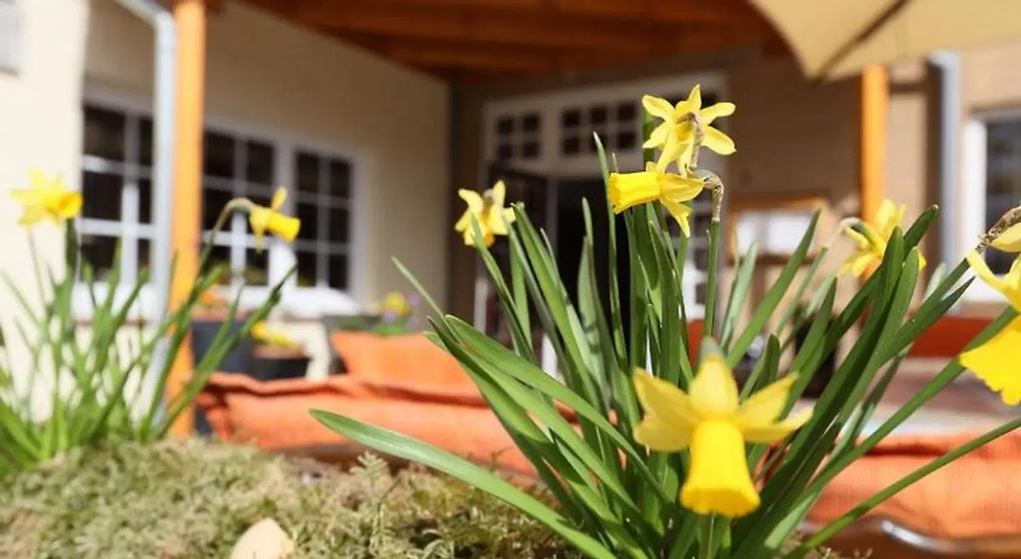 Jeddinger Hof Garten