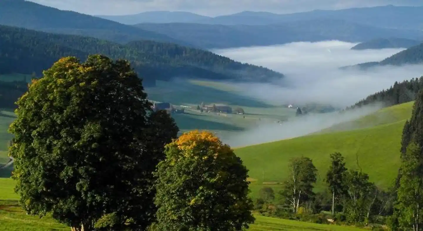 Schwarzwaldgasthaus Salenhof Landschaft