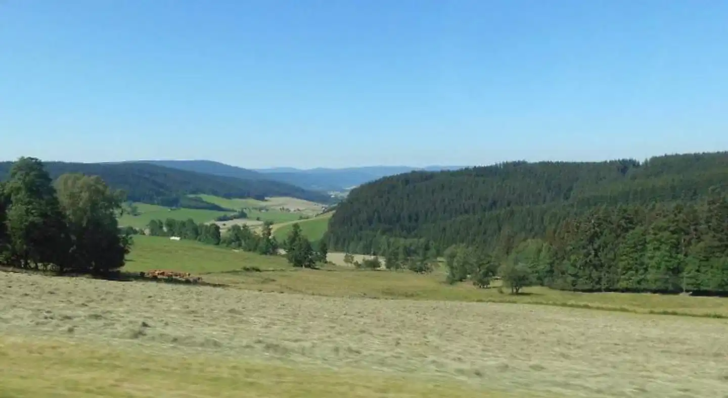 Schwarzwaldgasthaus Salenhof Landschaft