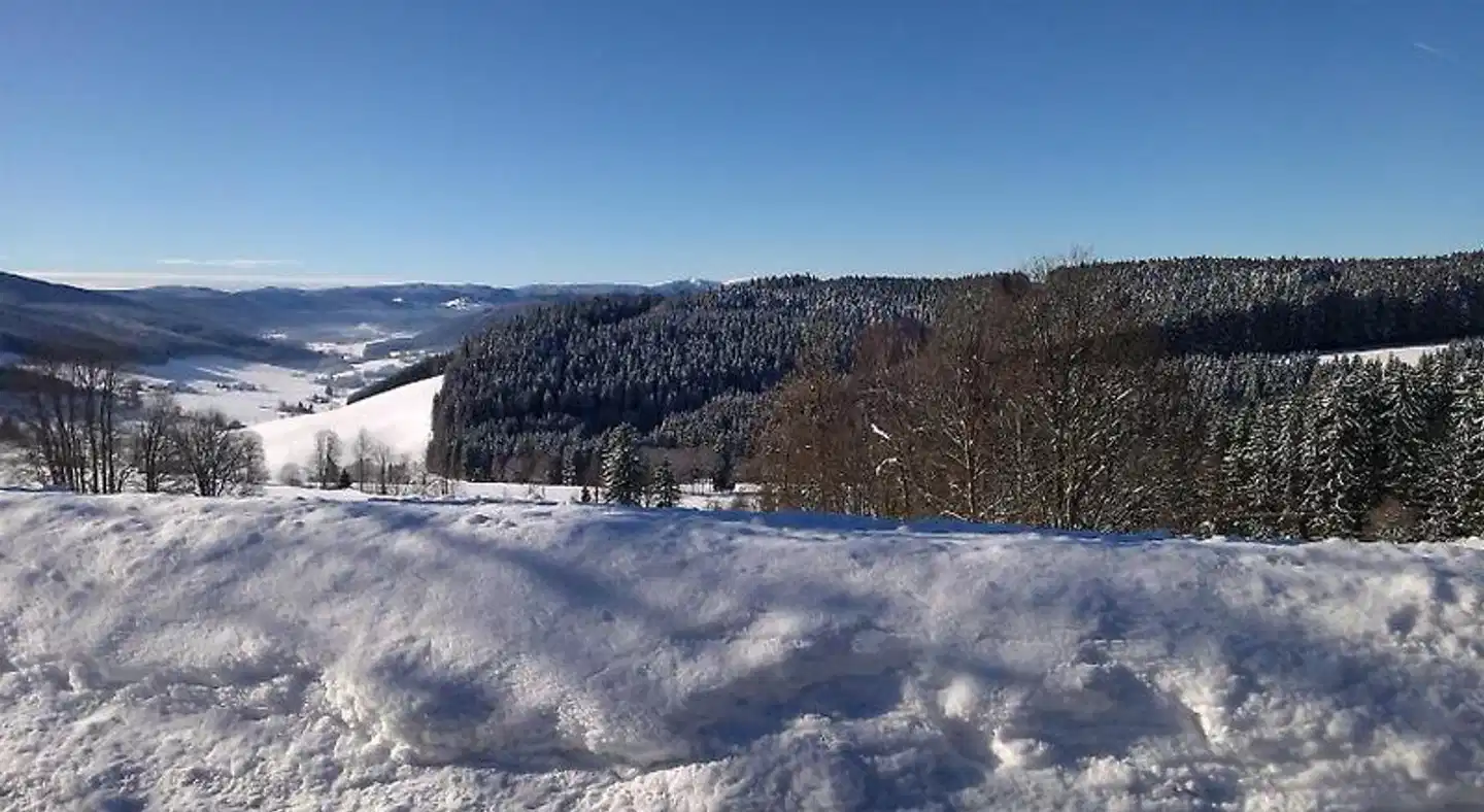 Schwarzwaldgasthaus Salenhof Landschaft