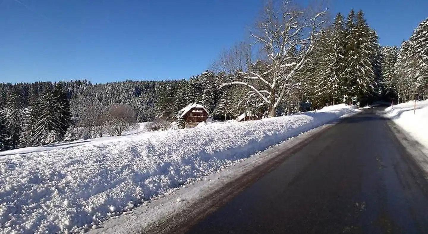 Schwarzwaldgasthaus Salenhof Tiere