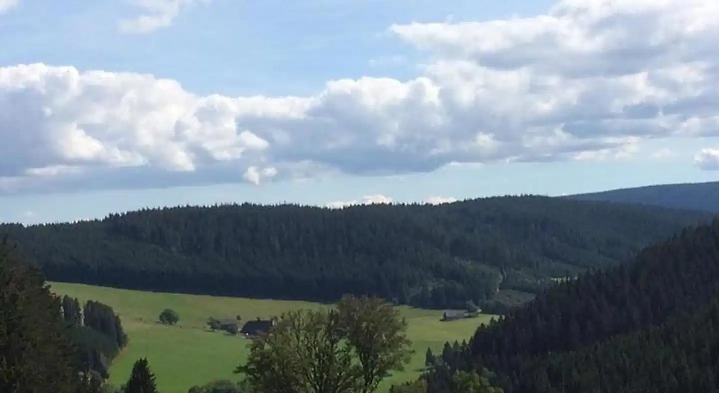 Schwarzwaldgasthaus Salenhof Landschaft
