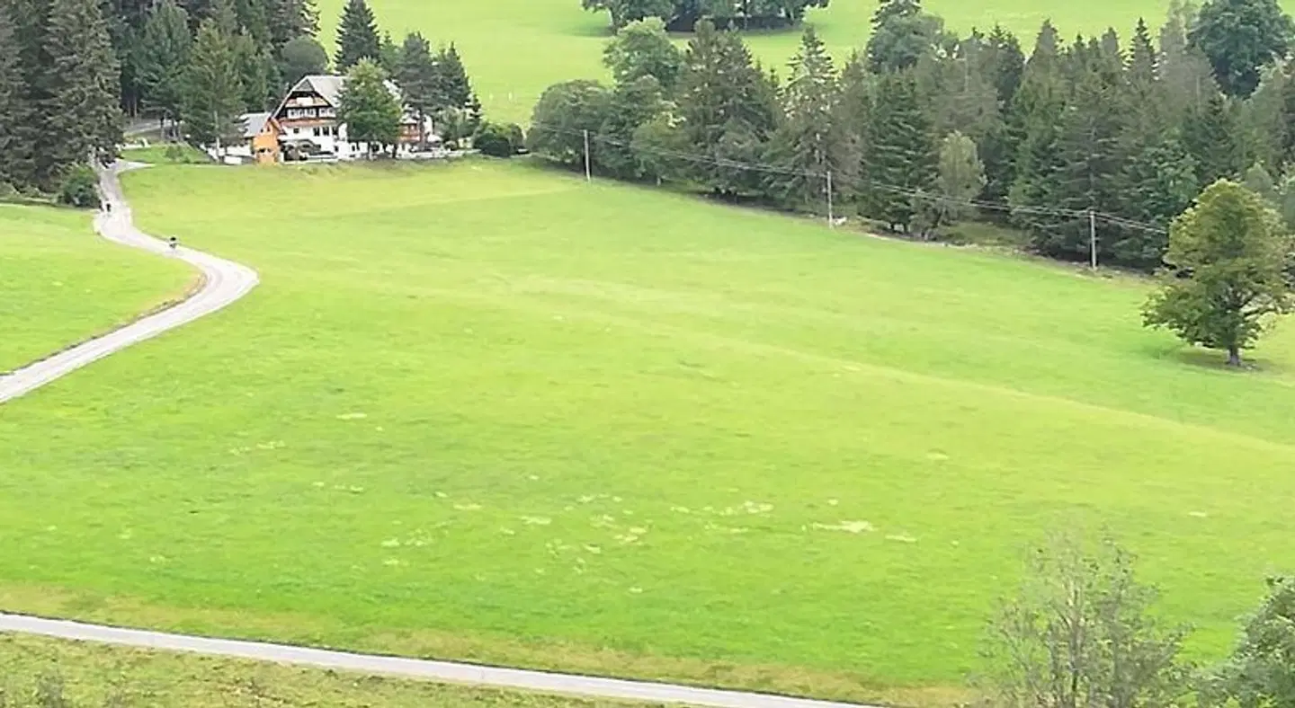 Schwarzwaldgasthaus Salenhof Garten