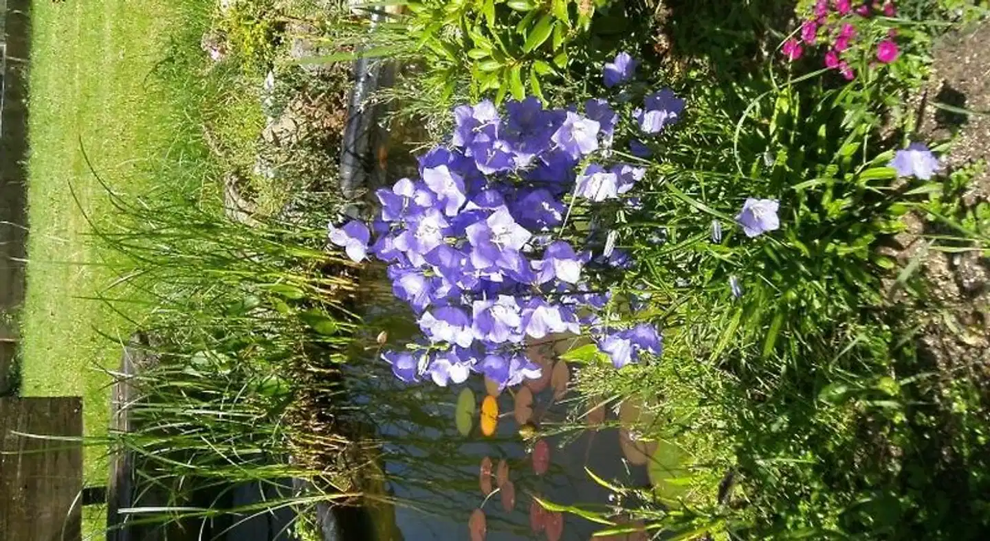 Schwarzwaldgasthaus Salenhof Landschaft