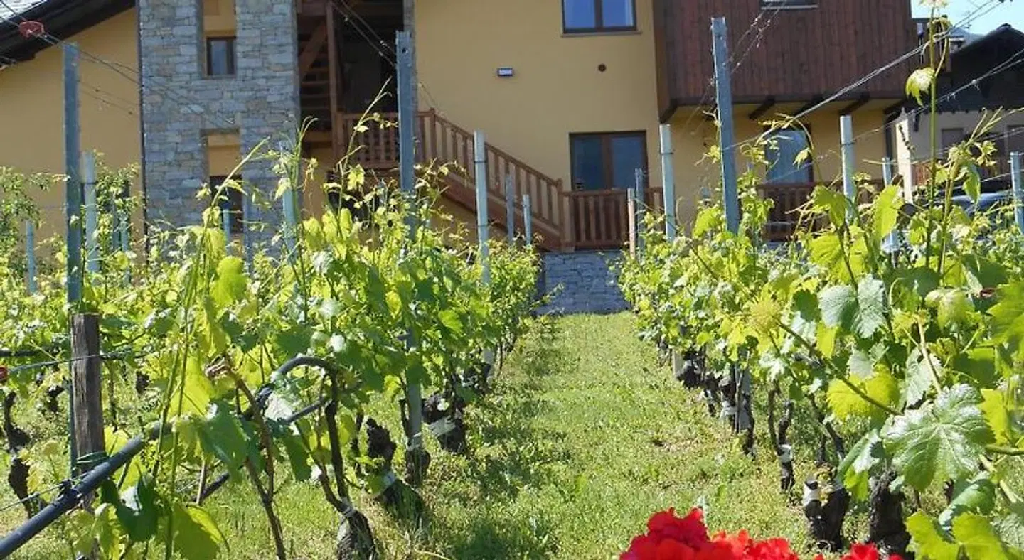 La Vigne de Papagran EXTERIOR