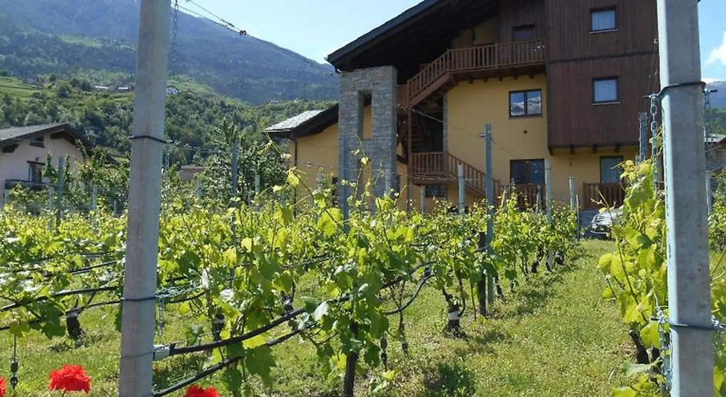La Vigne de Papagran EXTERIOR