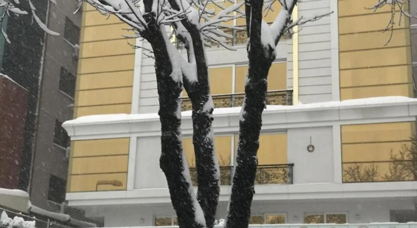 Golden Pearl Beautique Hotel Tiere