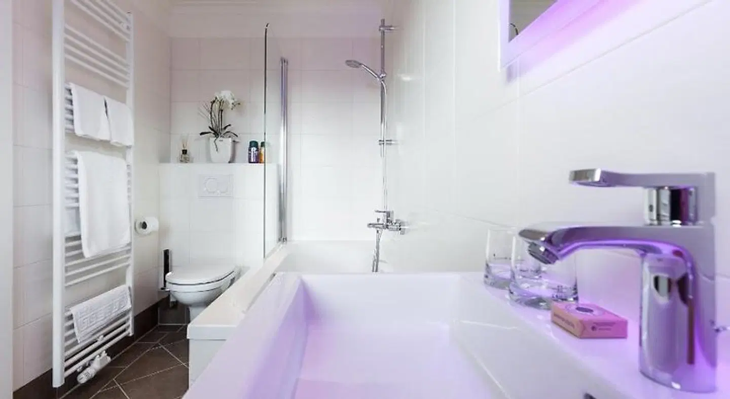 Hotel Mecklenburger Hof Gnoien Badezimmer