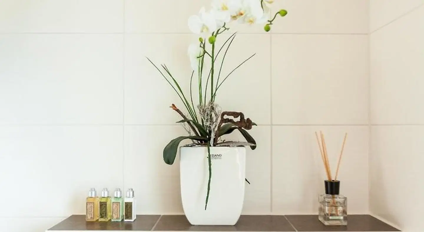 Hotel Mecklenburger Hof Gnoien Badezimmer