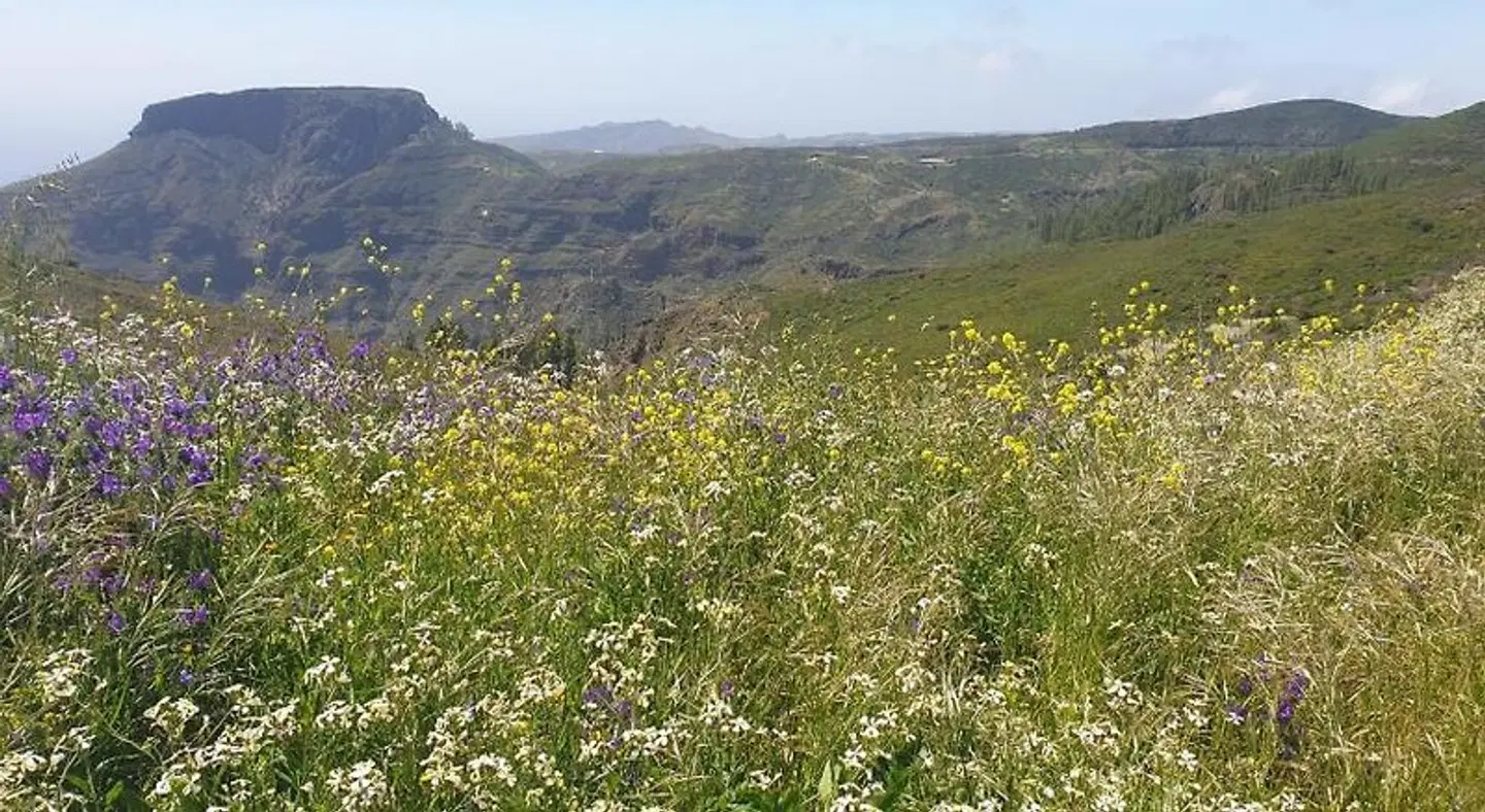 Casa Gerian LANDSCAPE