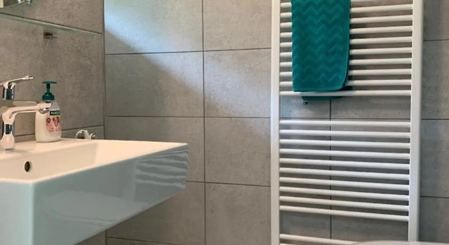 B&B de Ruijsvogel Badezimmer