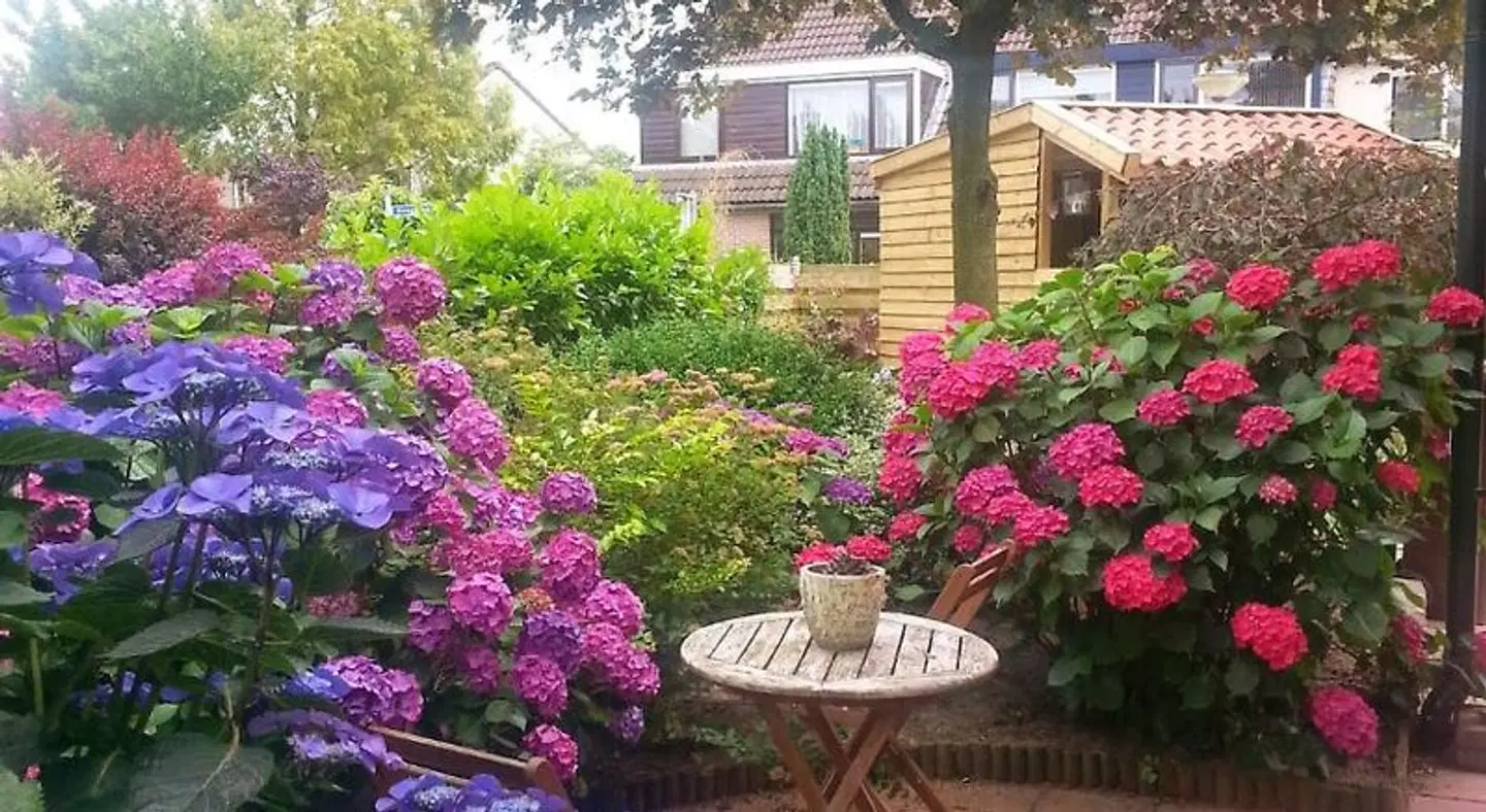 Bed & Breakfast de Vrijheid Terrasse