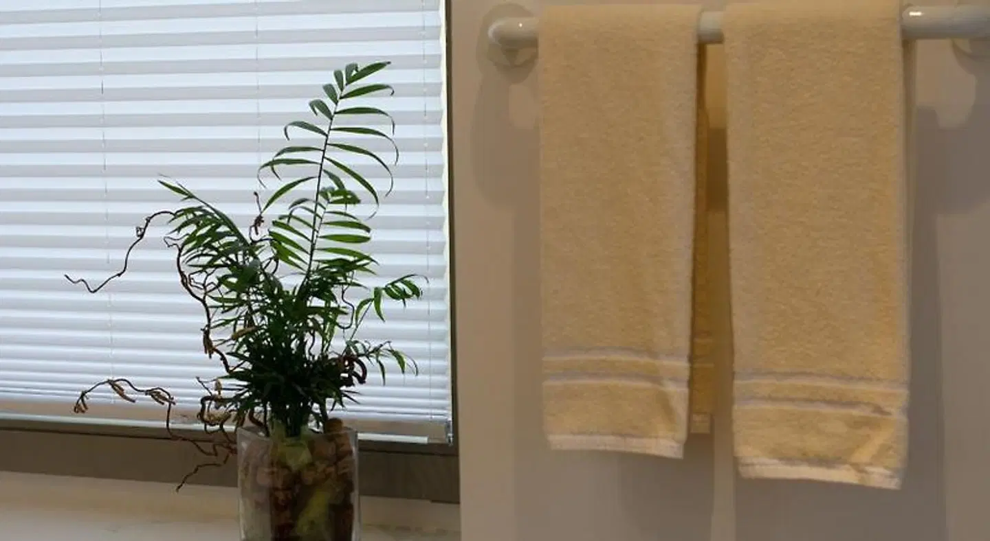 Altstadthotel Baunachshof HEALTH_BEAUTY