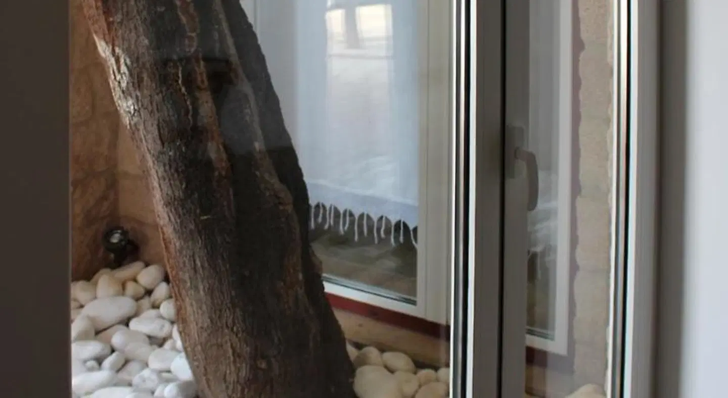 Aromas dos Salgueiros ROOM_EXAMPLE