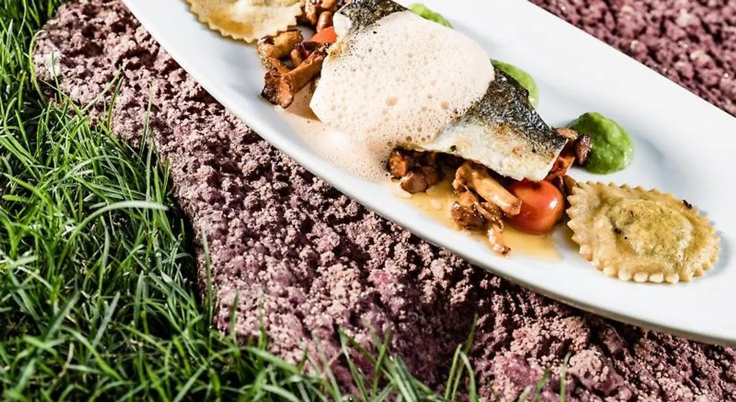 Hotel Plattenhof Tiere