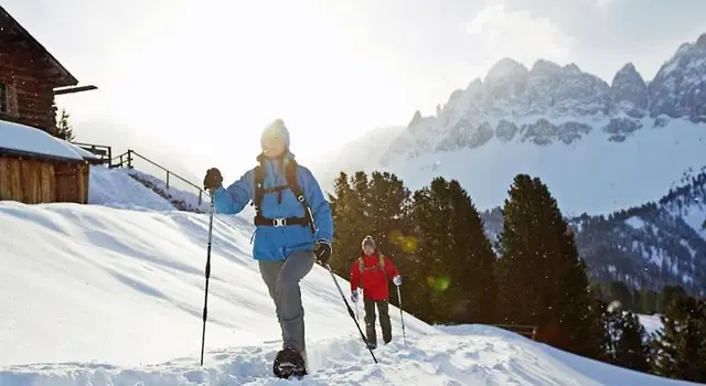 Forestis Sport und Entertainment