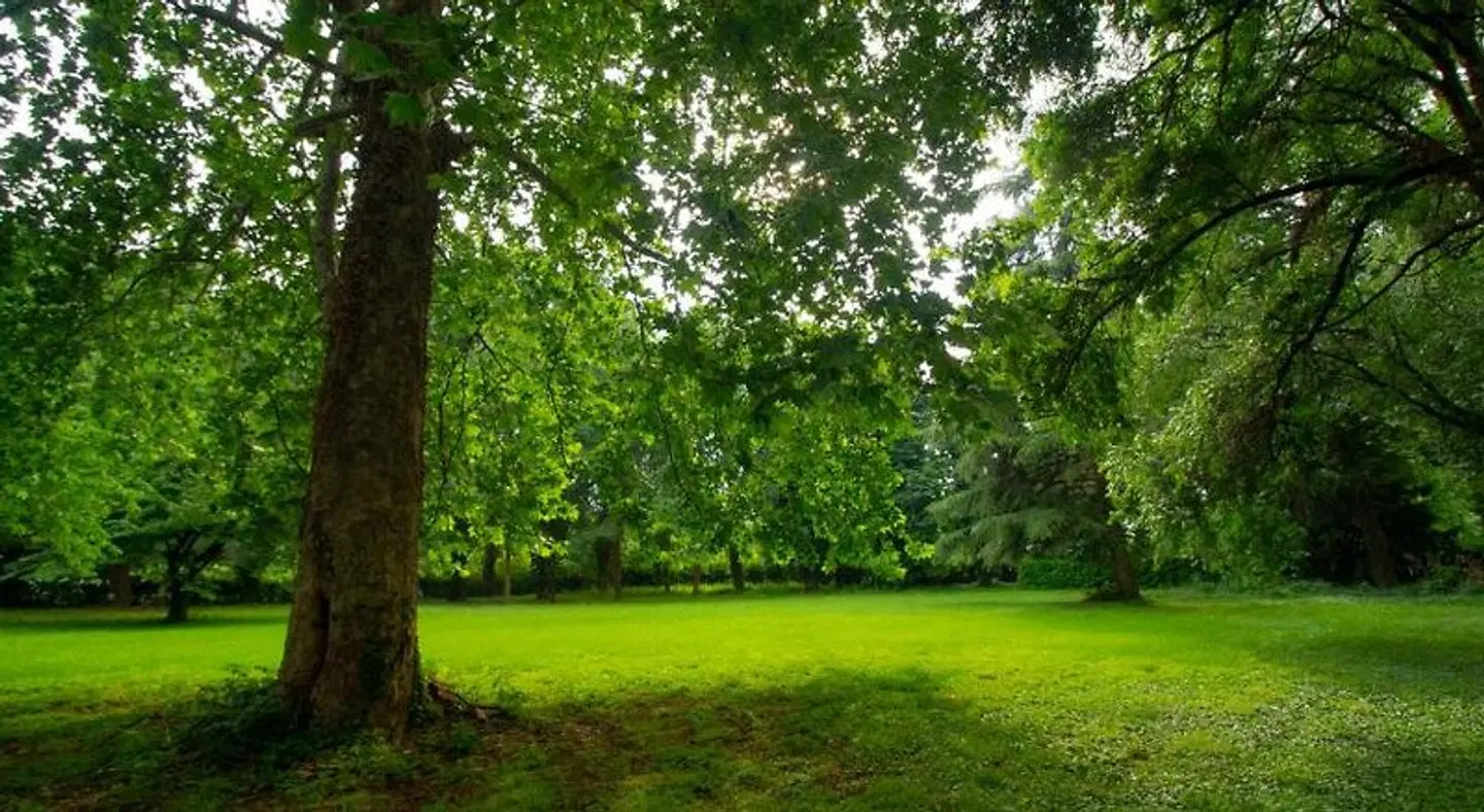 Villa dell Usignolo Garten