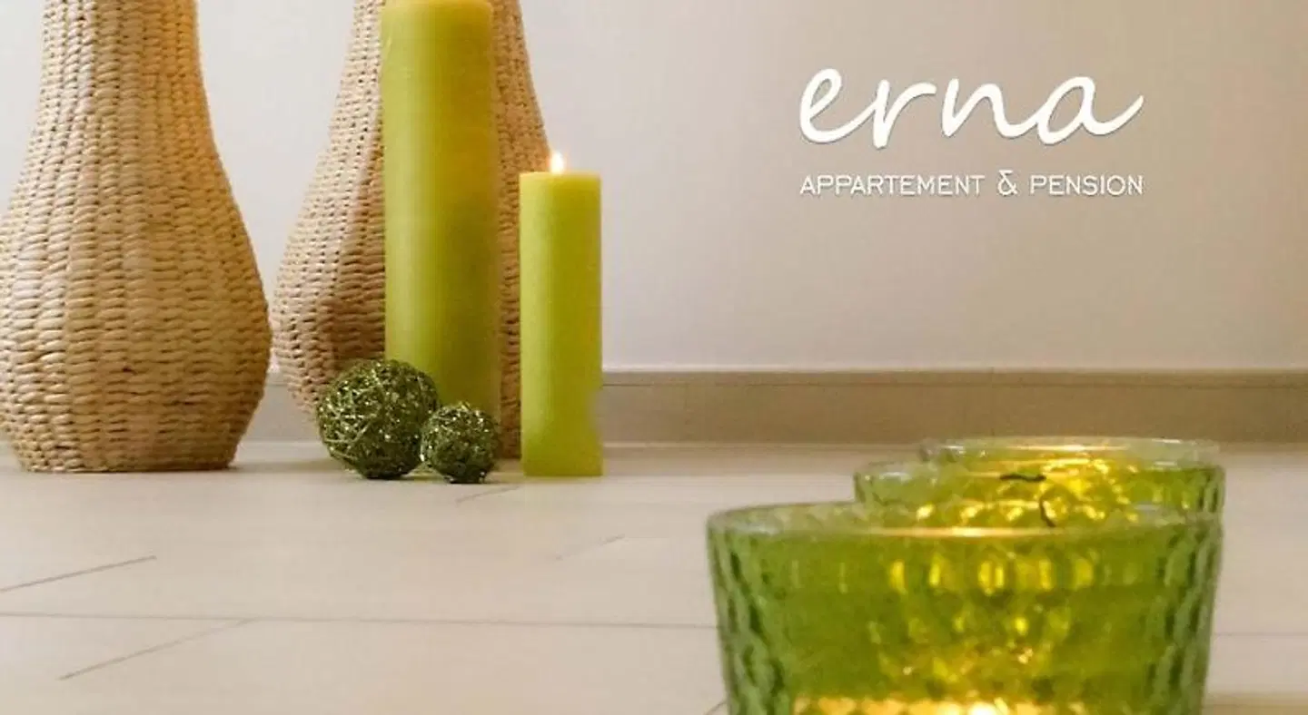Pension Apartment Erna LOUNGE_LOBBY