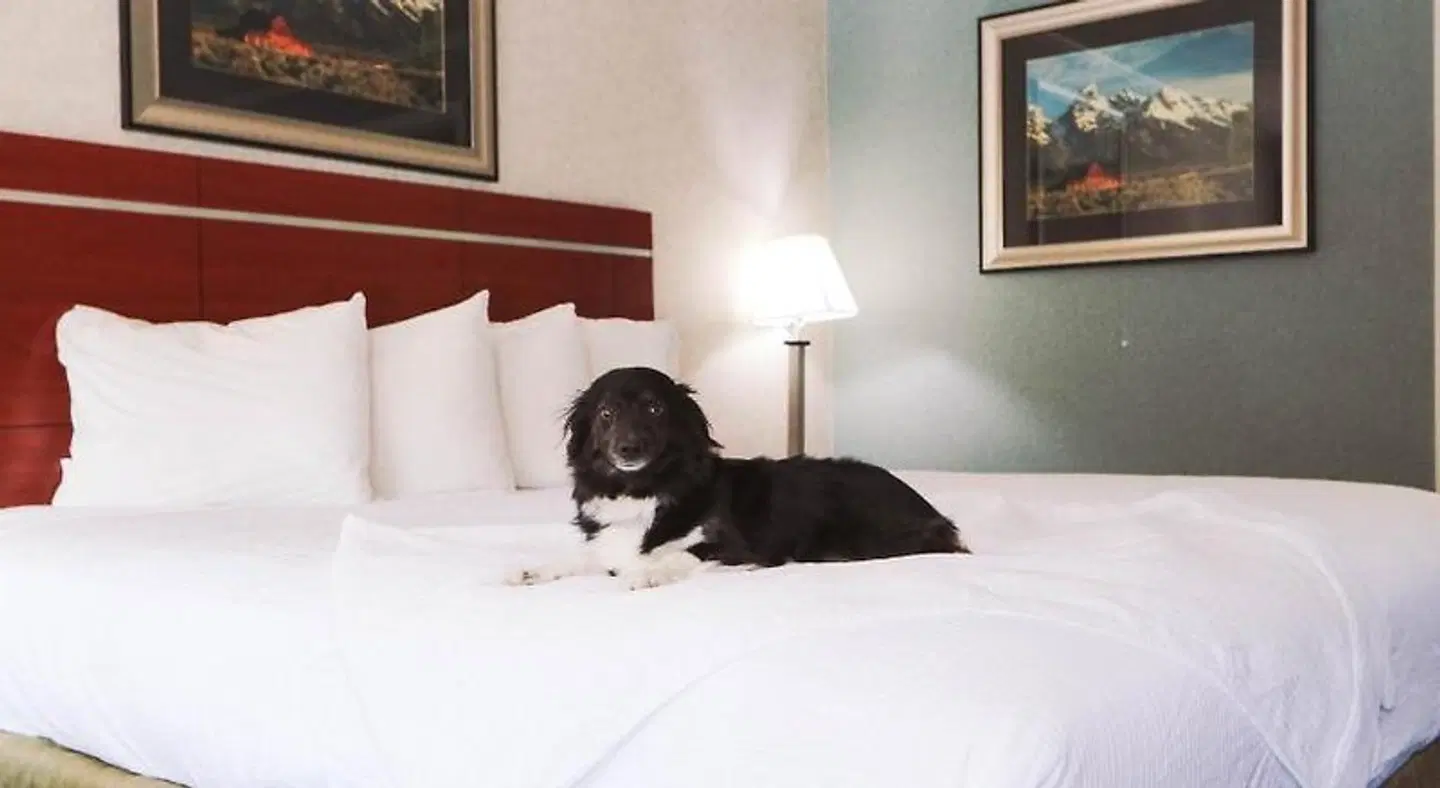 Brandin' Iron Inn ROOM_EXAMPLE