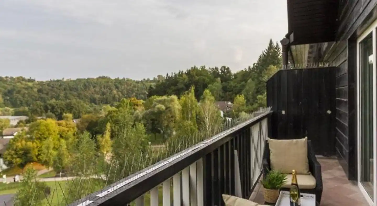 Terme Olimia - Aparthotel Rosa Aussenansicht