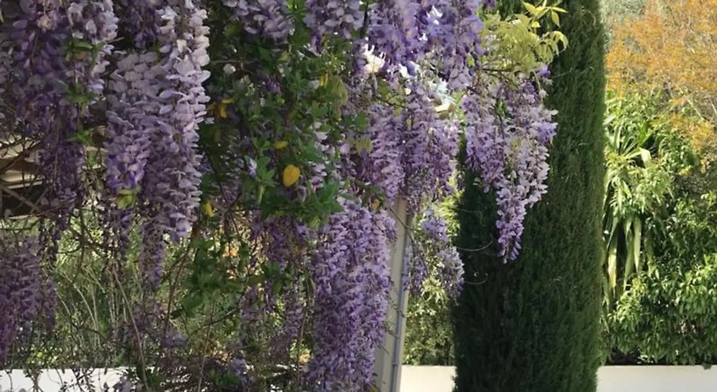 Bastide Nomade - Charming B&B Garten
