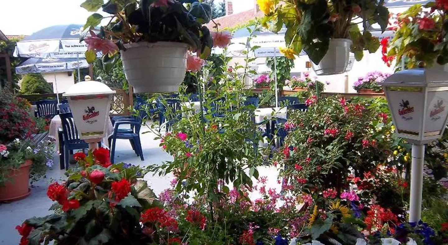 Hotel & Pension Aßmann Garten
