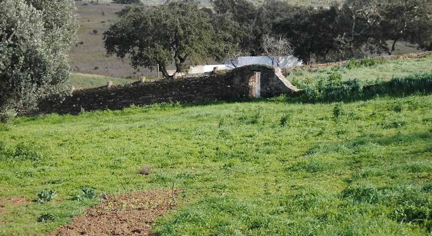 Herdade dos Mestres Tiere