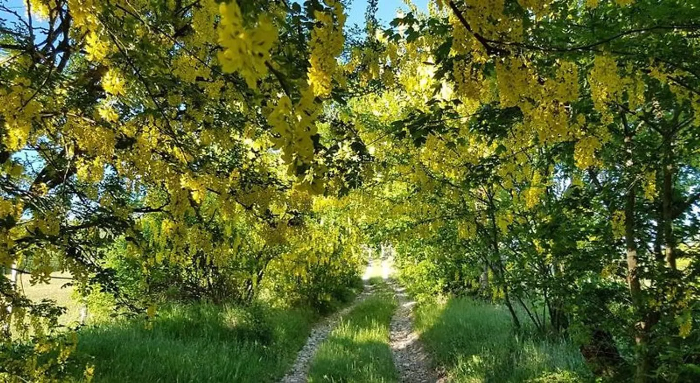 Agriturismo Fattoria Ca Di Sole LANDSCAPE