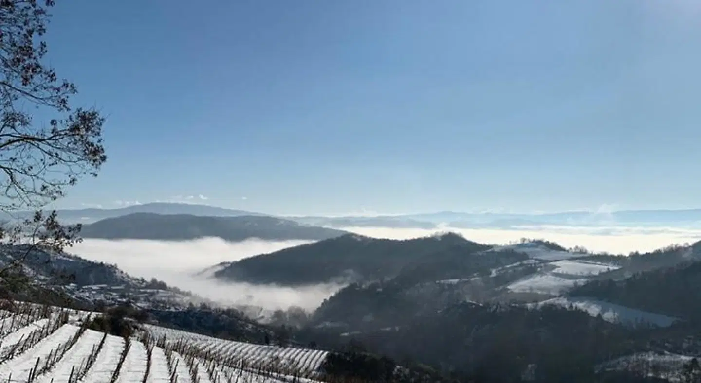 Cascina Bertolotto LANDSCAPE