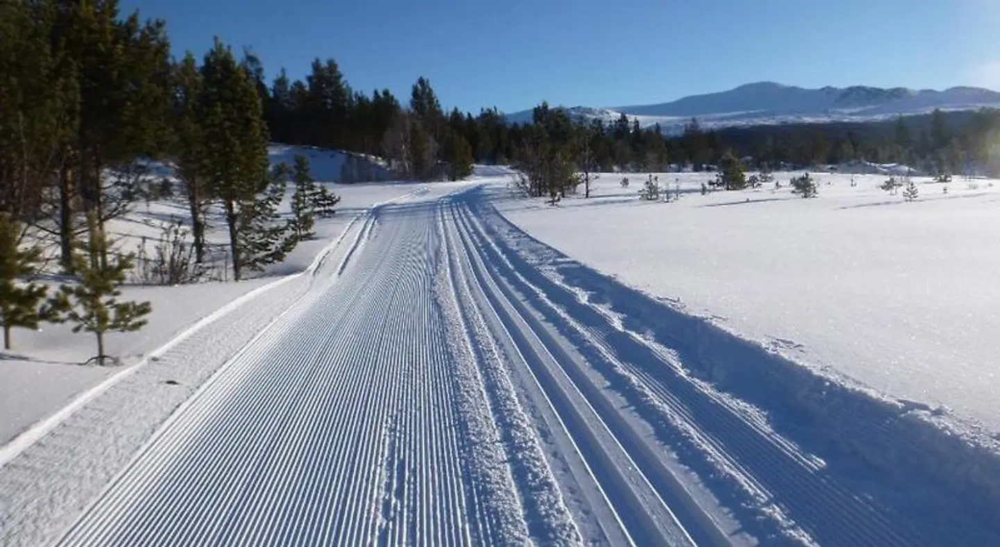 Sjodalen Hyttetun og Camping Strand