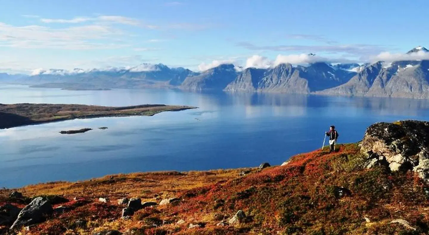 Håkon Gjestehus LANDSCAPE
