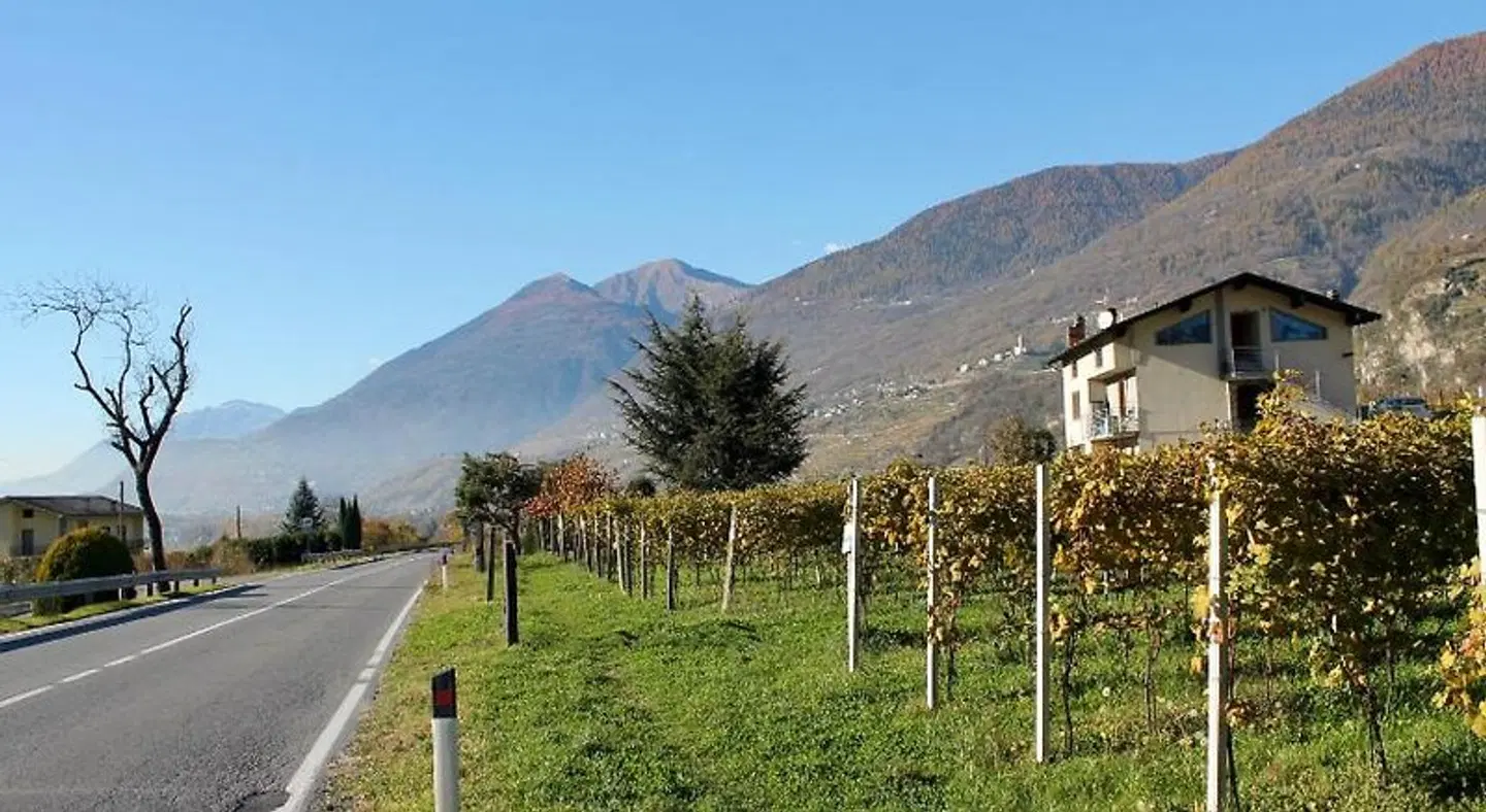 B&B Valtellina Mon Amour Tiere