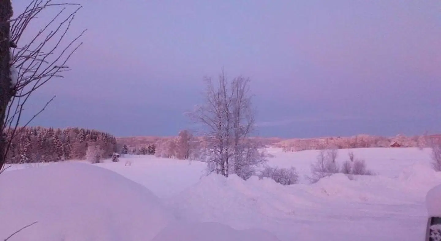 Gamla Affären LANDSCAPE