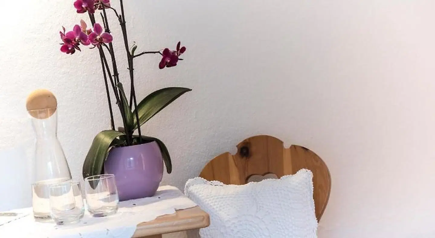 Garni Pramstrahler ROOM_EXAMPLE