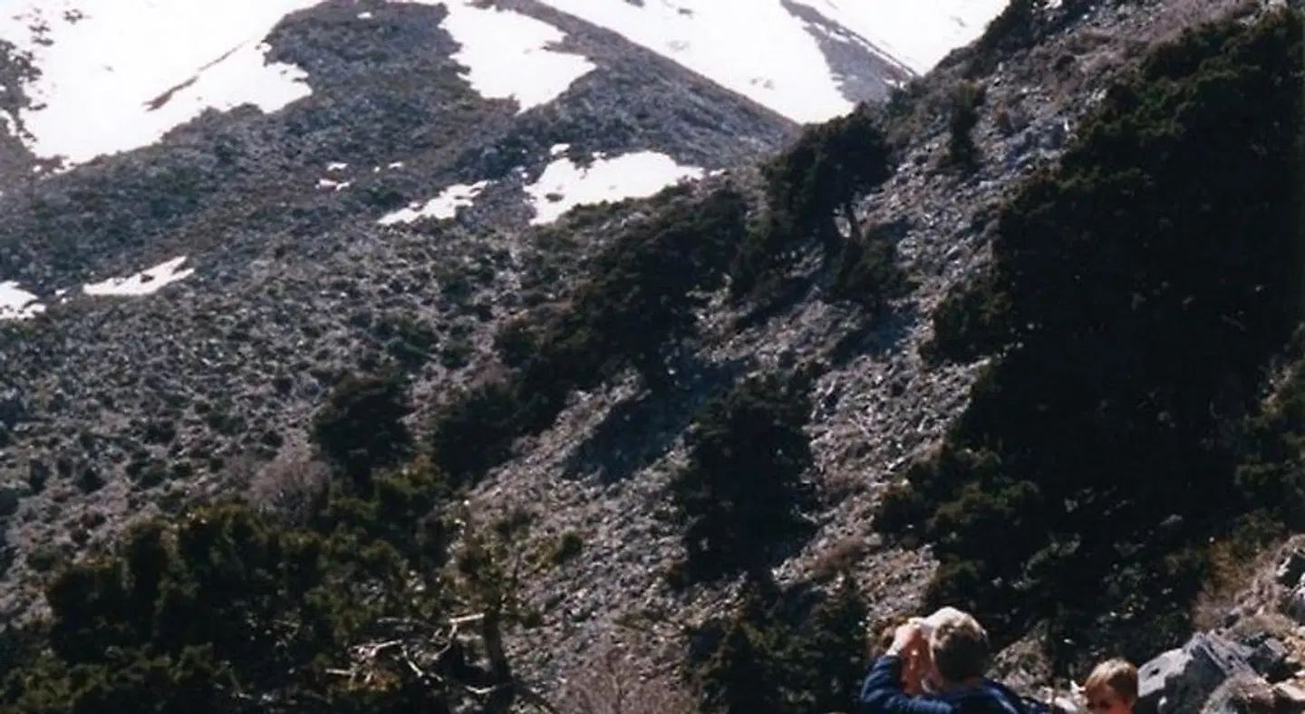 To Exari LANDSCAPE
