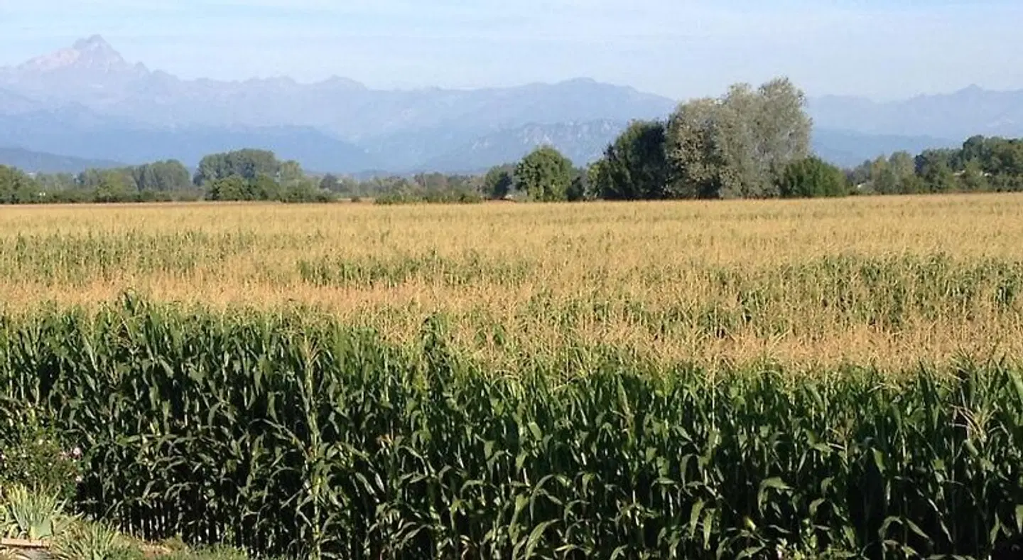 B&B Cascina Garaita LANDSCAPE