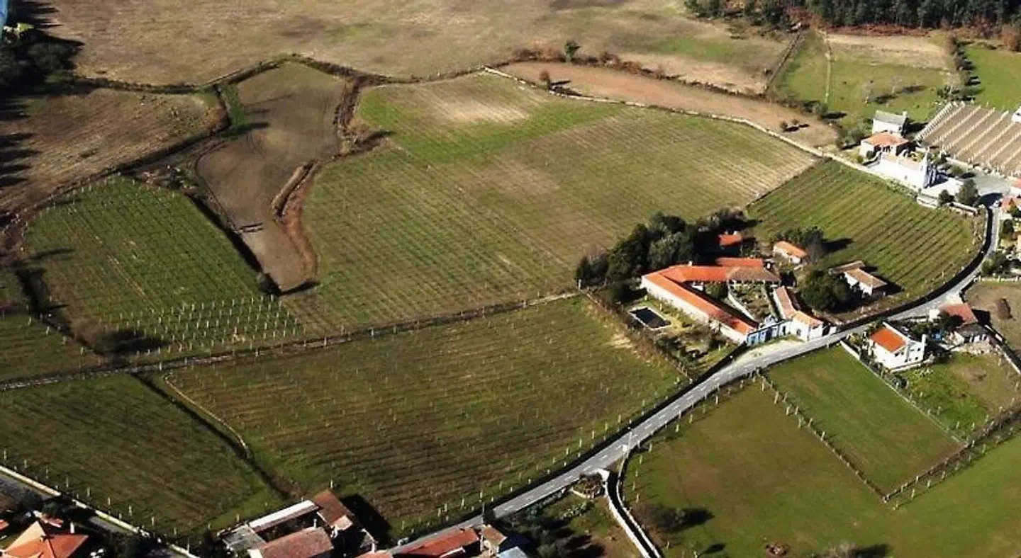 Quinta de Santa Baia Tiere
