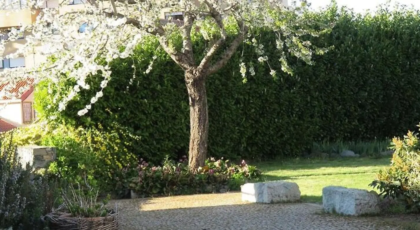 Solar de Santa Maria Garten
